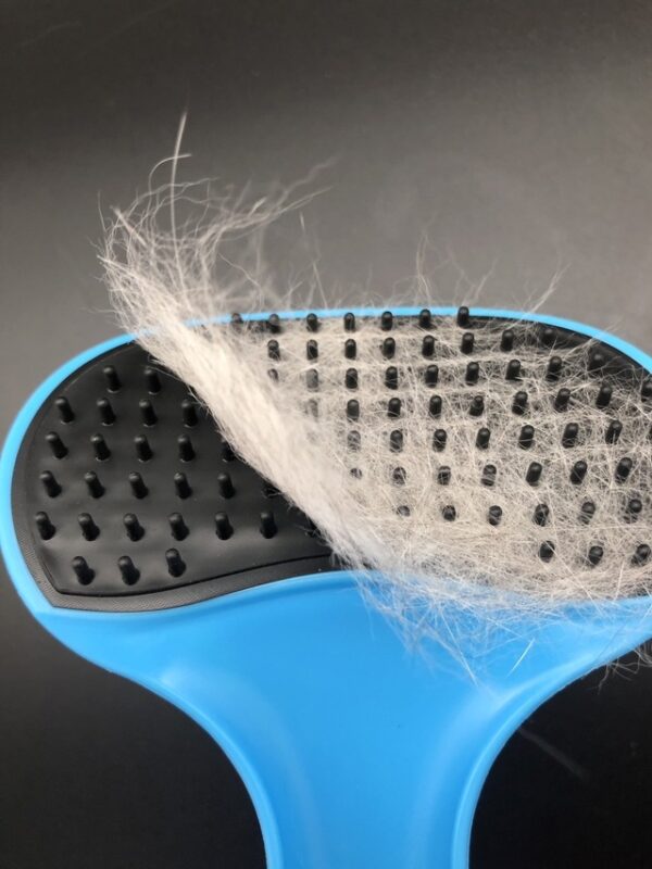 Pets Massage Hair Brush