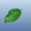 Betta Leaf