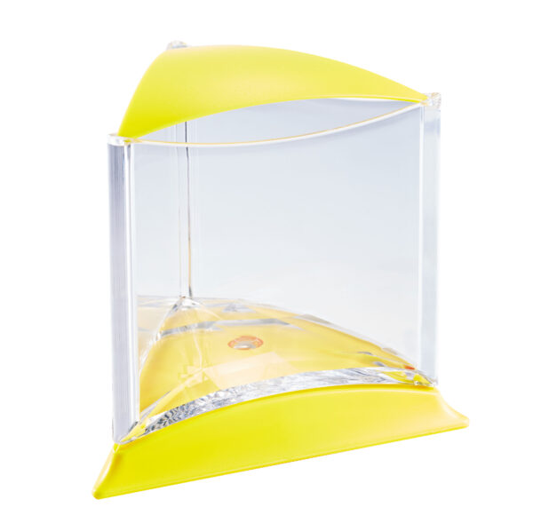 Fish Tank-Stylish tank Purple(鬥魚缸)